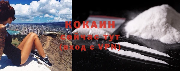 прущие грибы Кодинск