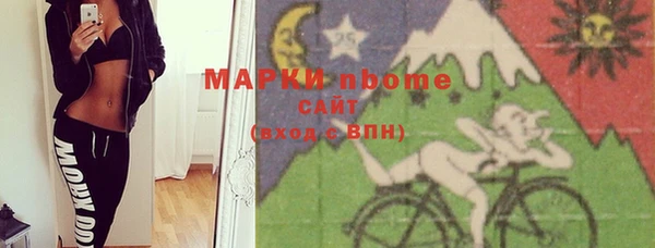 прущие грибы Надым