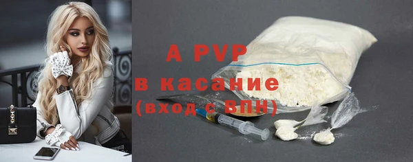 прущие грибы Кодинск