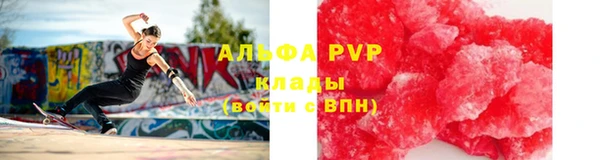 прущие грибы Кодинск