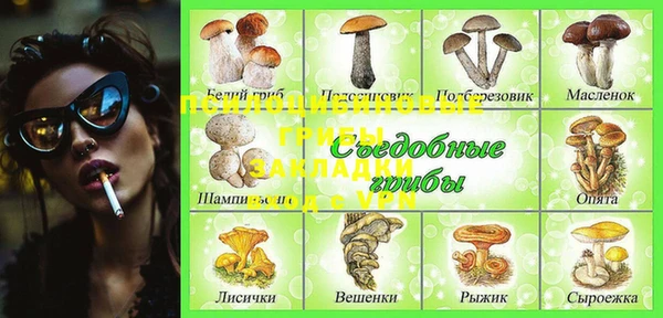 круглые Козельск