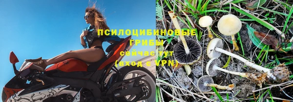 круглые Козельск