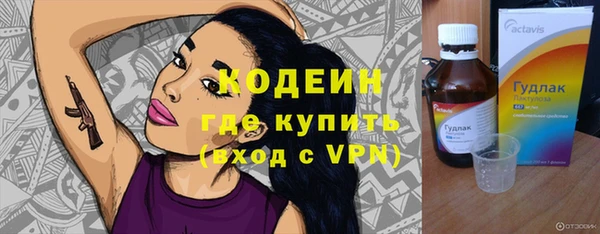 прущие грибы Кодинск