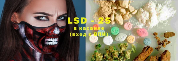 прущие грибы Кодинск