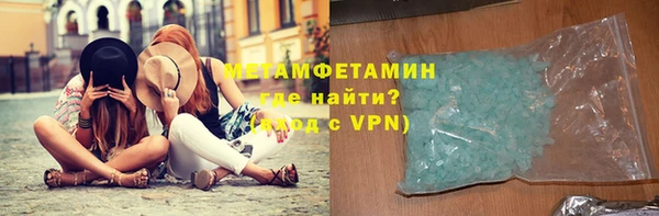 прущие грибы Кодинск