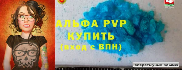 прущие грибы Чегем
