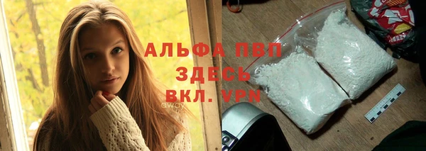 гидра Чердынь